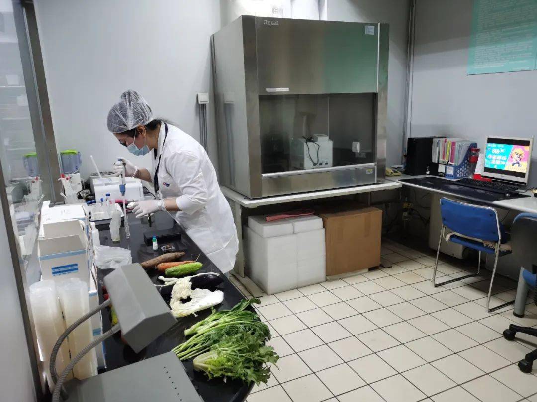 滨海食品检测实验室装修方案
